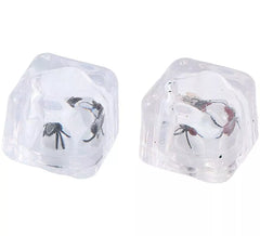 2 Ice Cubes with Fly