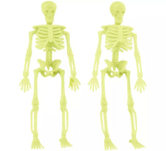 2 Luminescent Skeleton of 21x11 cm