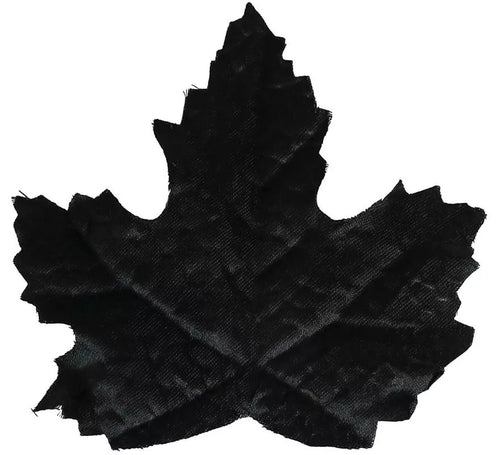 24 Hojas Calabazas negras
