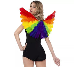 Rainbow Wings fan shape 50x70 cm