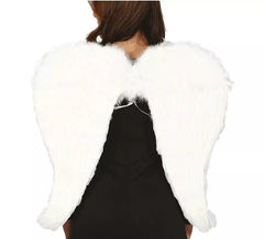 White Wings with Feathers 80X60 cm