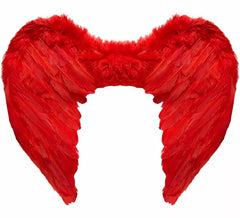 Wings with red feathers 50x40 cm