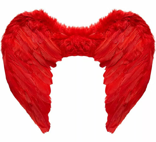 Alas con Plumadas rojas de 50x40 cm