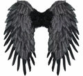Alas con Plumas de 50x50 cm Plegables en varios colores