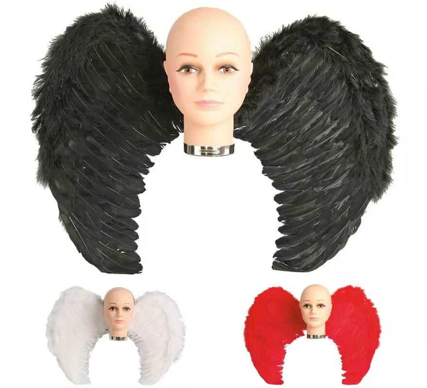 Translation missing: en.Alas con plumas en varios colores 65 x 50 cm