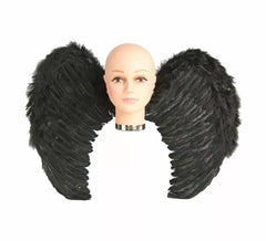 Wings with feathers in various colors 65 x 50 cm
