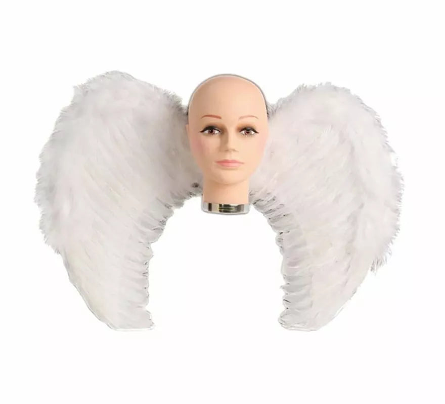 Alas con plumas en varios colores 65 x 50 cm