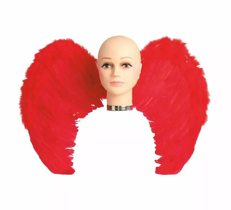 Translation missing: en.Alas con plumas en varios colores 65 x 50 cm