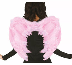 Wings with Pink Feathers of 50X40 cm
