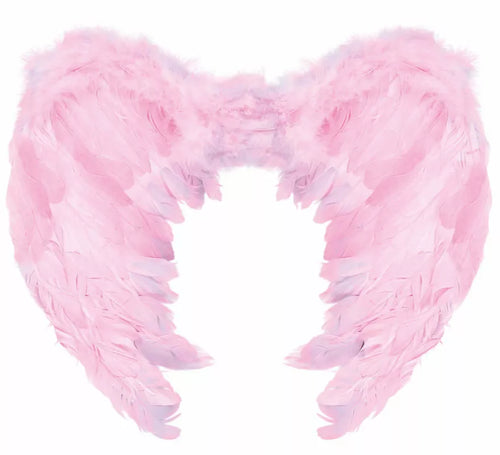 Alas con Plumas Rosa de 50X40 cm