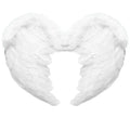 Alas de Ángel de Plumas Blancas de 37X50 cm