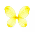 Alas de Mariposa de 50 cm en varios colores