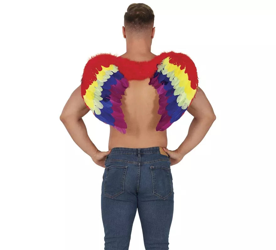Alas de Plumas Multicolor 80 X 50 cm