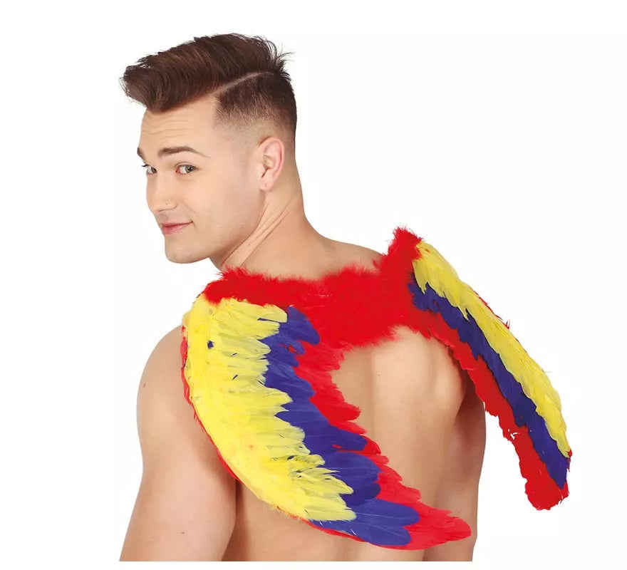 Alas de Plumas Multicolor 80 X 50 cm