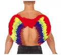 Alas de Plumas Multicolor 80 X 50 cm
