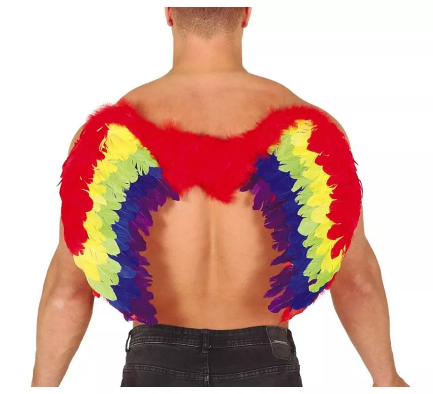 Alas de Plumas Multicolor 80 X 50 cm