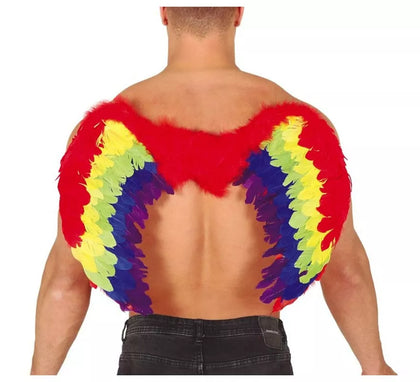 Alas de Plumas Multicolor 80 X 50 cm