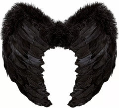 Black Feather Wings 50x40 cm