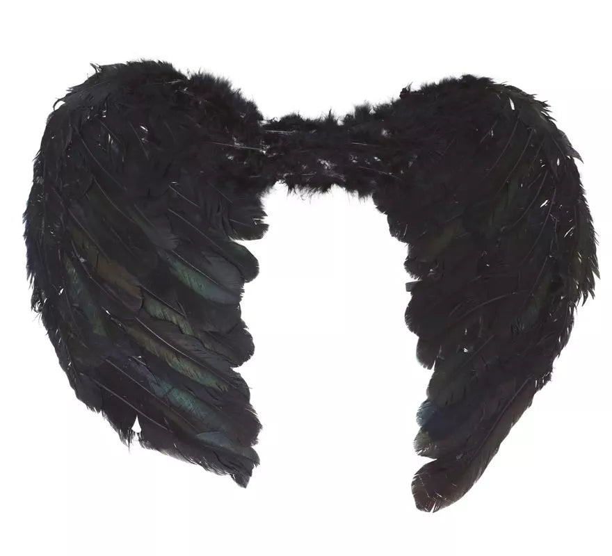 Alas negras de plumas de 50 cm. para Halloween