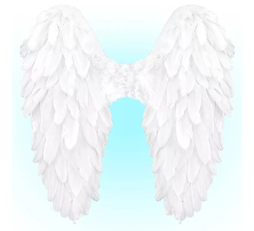 Alas Plegables de Plumas de 50x50 cm en varios colores