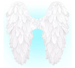 50x50 cm Foldable Feather Wings in various colors