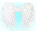 Alas Plegables de Plumas de 80x60 cm en varios colores