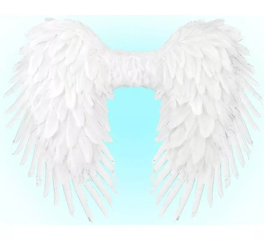 Alas Plegables de Plumas de 80x60 cm en varios colores