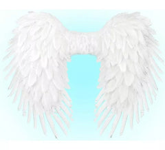 80x60 cm Folding Feather Wings in various colors