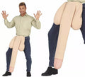 Aparato Reproductor Masculino Gigante