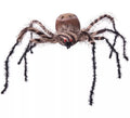 Araña Cebra Grande de 54x44x10 cm