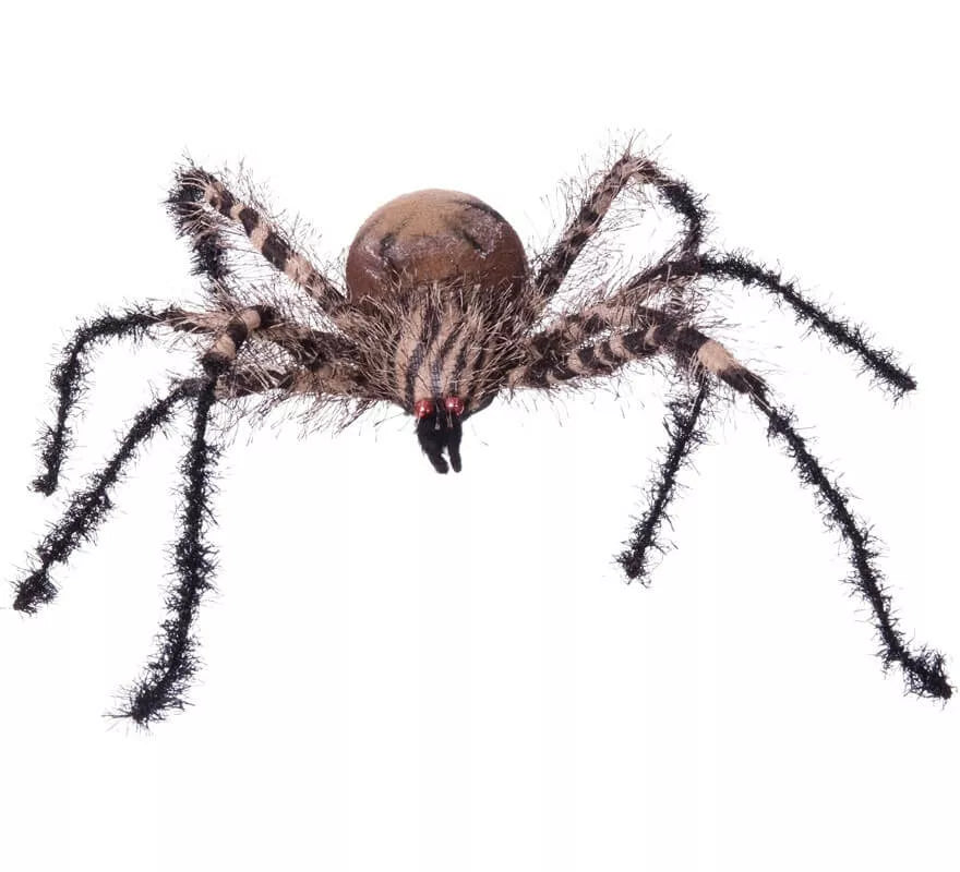 Araña Cebra Pequeña de 38x34x8 cm