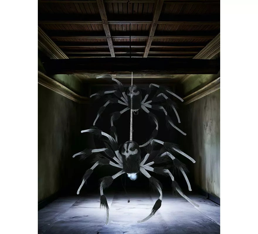 Translation missing: en.Araña con Luz de Sonido y Movimiento de 80 cm
