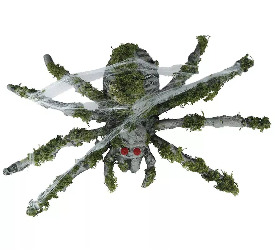 Araña con Musgo de 22 cm