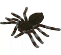 Araña Gigante marrón y gris 15 cm