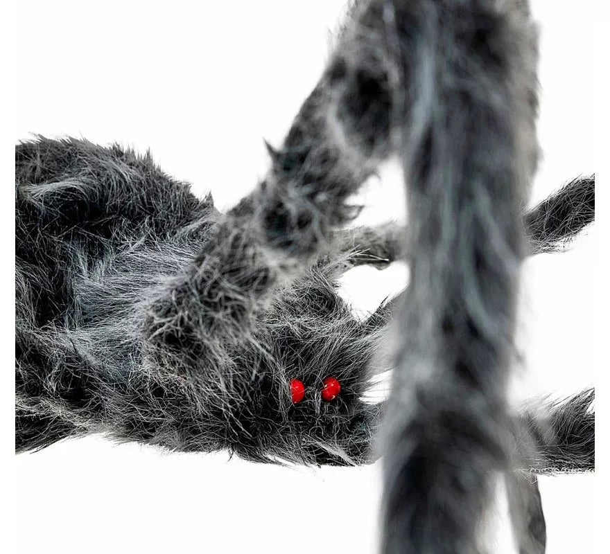Araña gris patas largas y finas de 80x18x8 cm