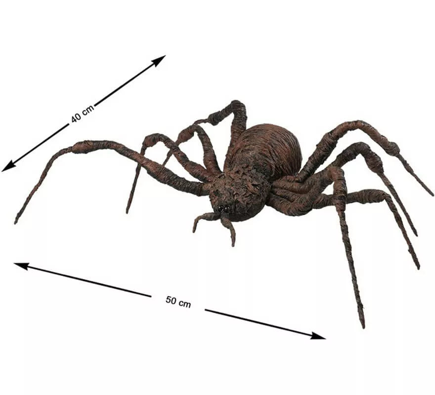 Translation missing: en.Araña Marrón de 50x40 cm
