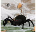 Araña Negra 30 Cm