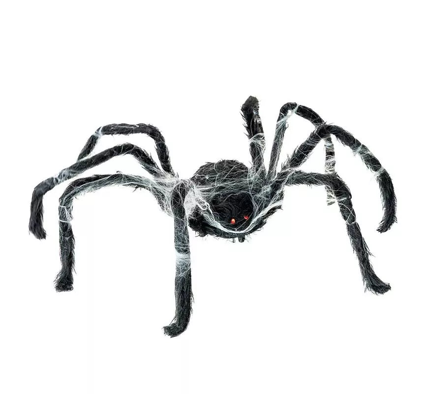 Translation missing: en.Araña negra Caminante con telaraña de 80x18x8 cm