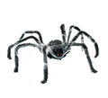 Araña negra Caminante con telaraña de 80x18x8 cm
