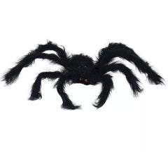 200cm black spider