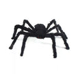 Araña negra patas cortas de 75 cm