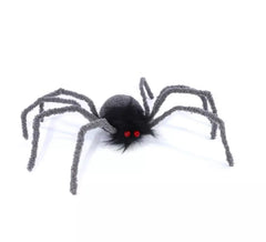 45cm red-eyed spider