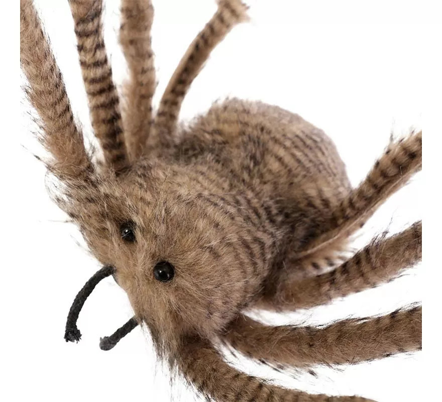 Araña Patas Largas de 138x70x25 cm