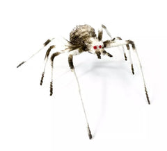 Long-legged spider 6X58X17 cm