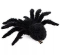 Araña Peluda