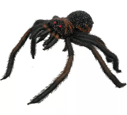 Araña Peluda de ojos rojos 60 cm