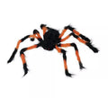Araña Peluda naranja y negra de 75 cm