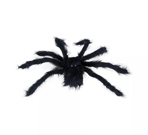 Araña Peluda negra de 50 cm