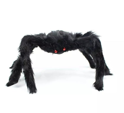Araña Peluda negra ojos rojos de 50 cm