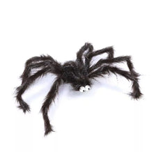 60cm Hairy Spider with Bulging Eyes